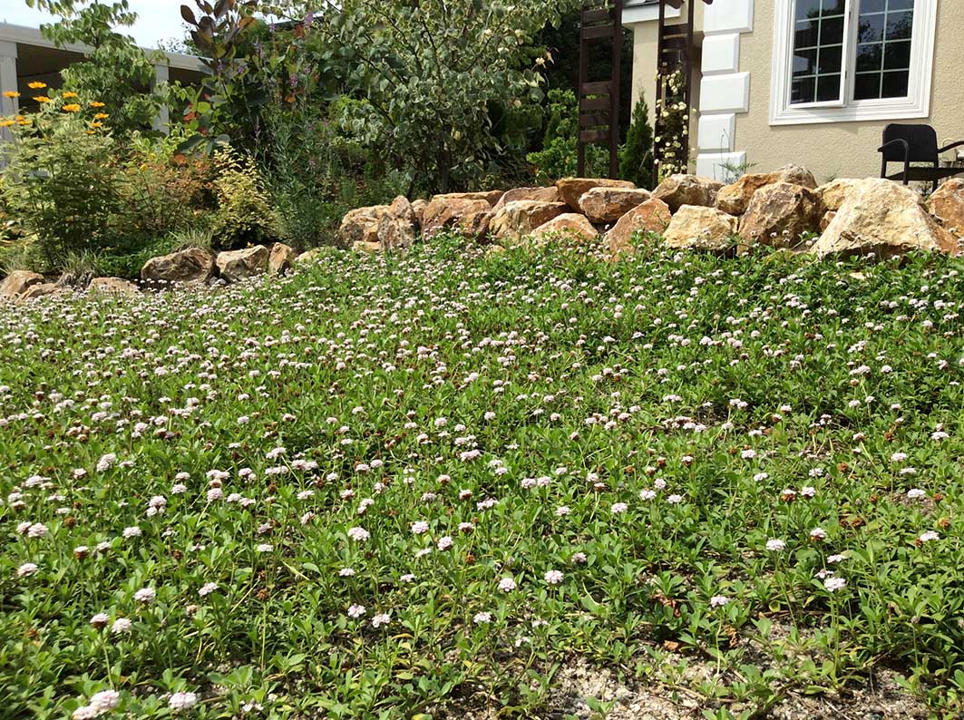 クラピアガーデン工事/18